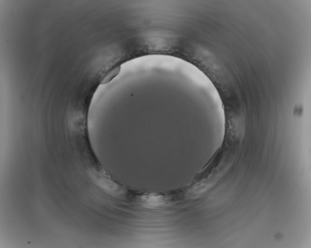 X0000097610419200803141943