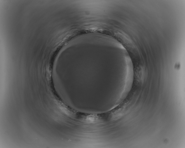 X0000097610420200803141943