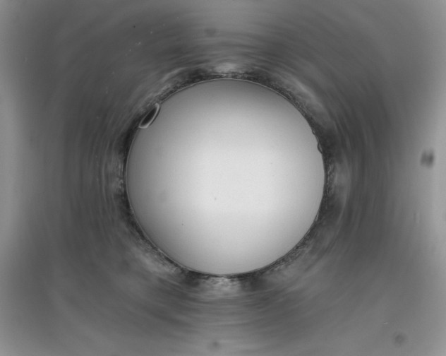 X0000097610421200803141943