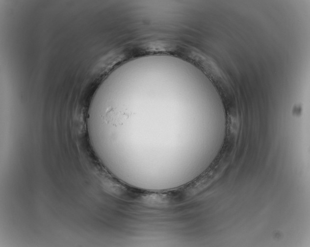 X0000097610422200803141943