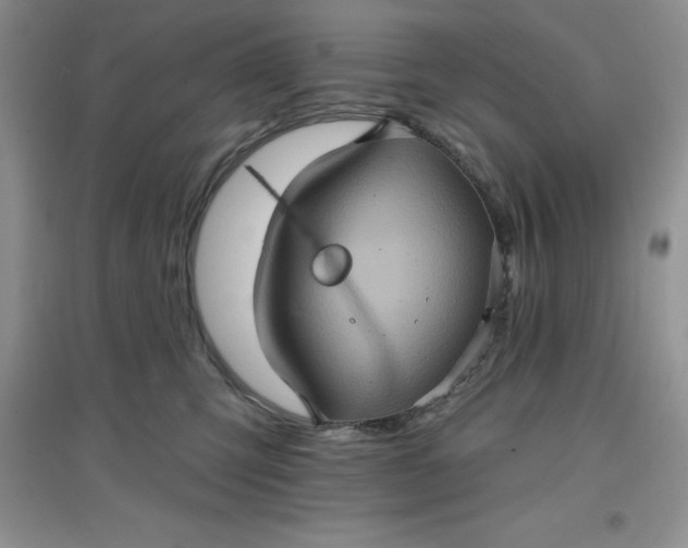 X0000097610423200803141943