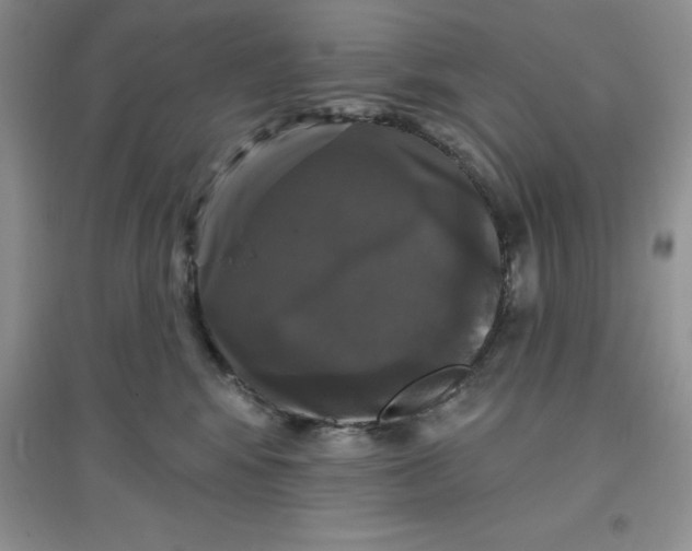 X0000097610424200803141943