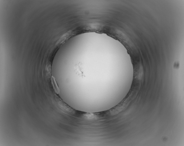 X0000097610425200803141943