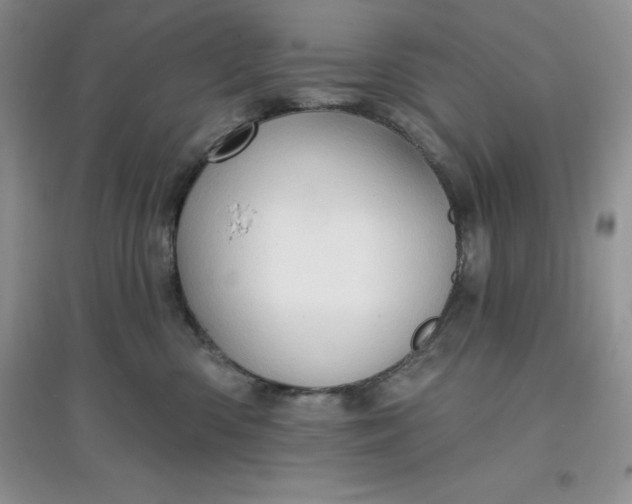 X0000097610426200803141943