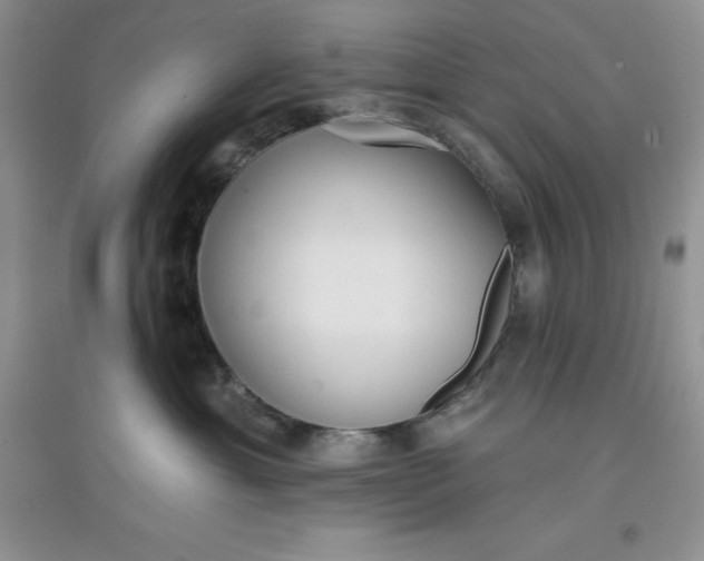 X0000097610429200803141943