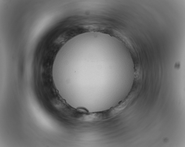 X0000097610430200803141943