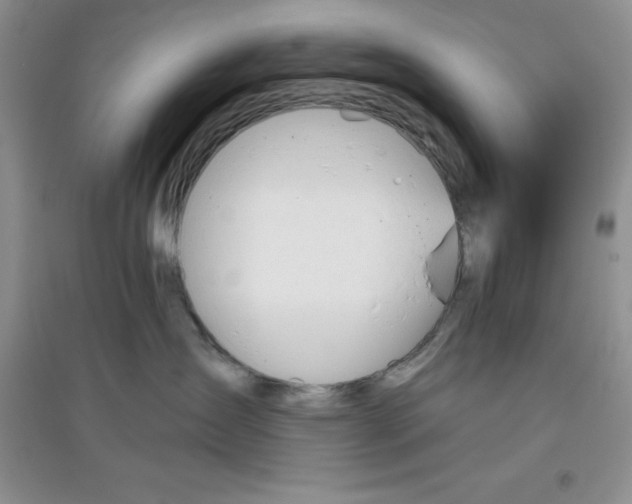 X0000097610431200803141943