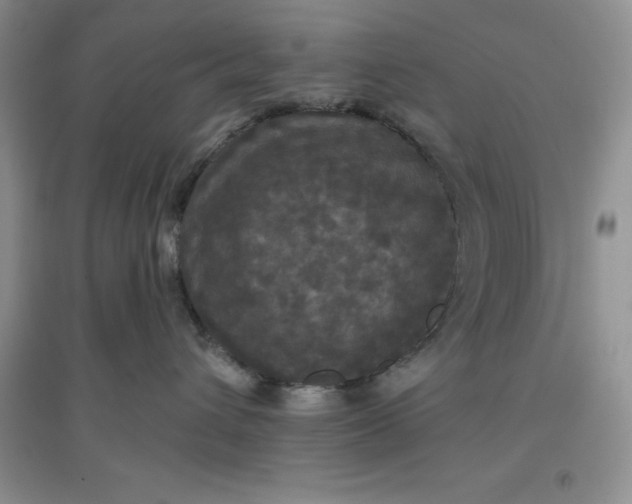 X0000097610432200803141943