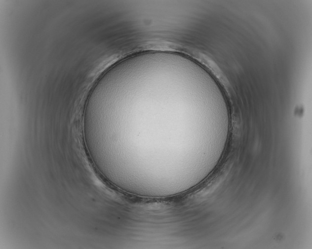 X0000097610433200803141942