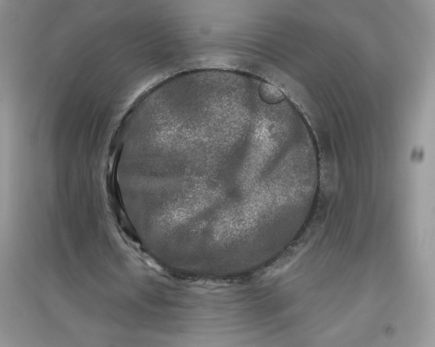 X0000097610434200803141942