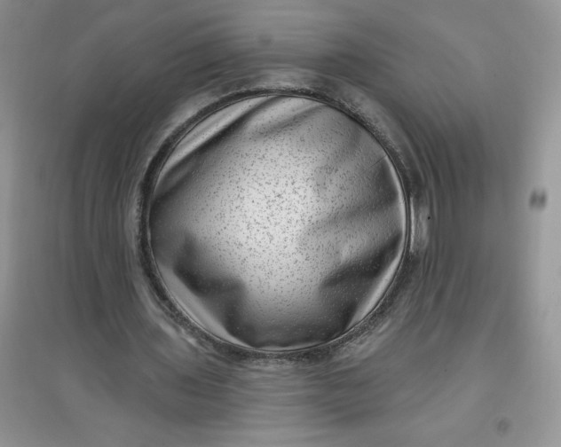 X0000097610435200803141942