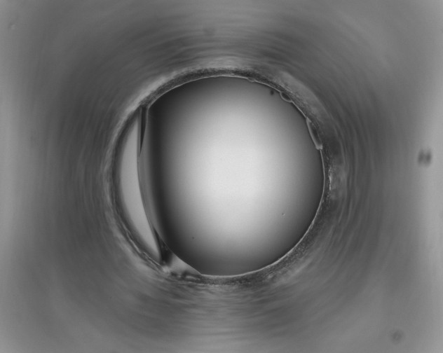 X0000097610436200803141943