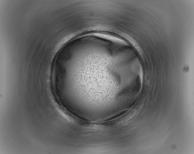 X0000097610437200803141943