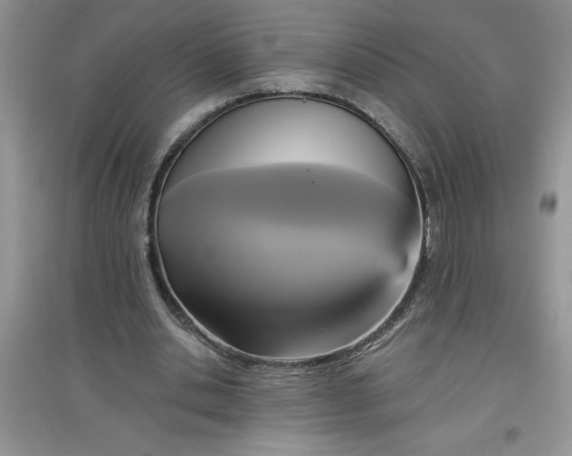 X0000097610438200803141943