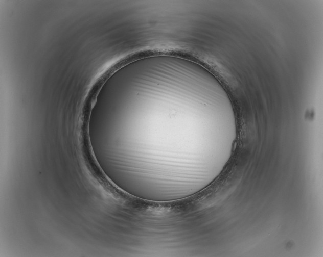 X0000097610440200803141943