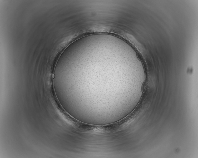 X0000097610441200803141943