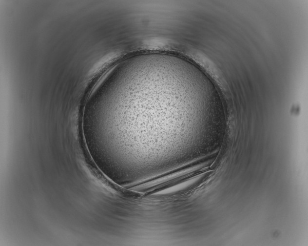 X0000097610442200803141943