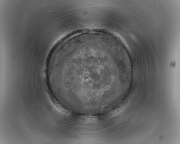 X0000097610443200803141943