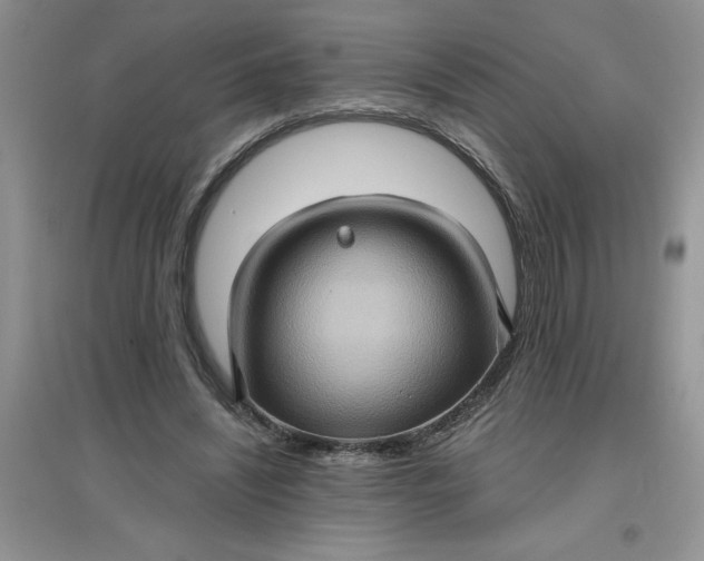 X0000097610444200803141943