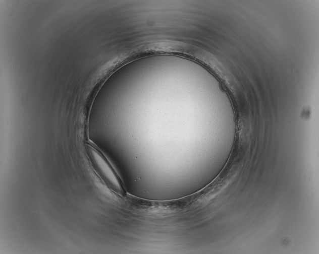 X0000097610445200803141943