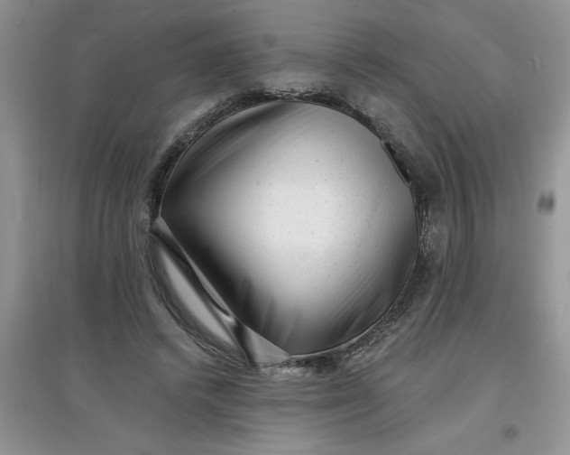 X0000097610448200803141943