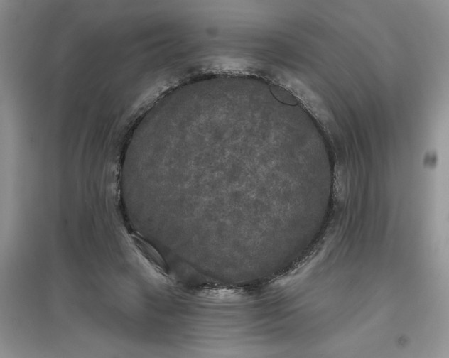 X0000097610449200803141943