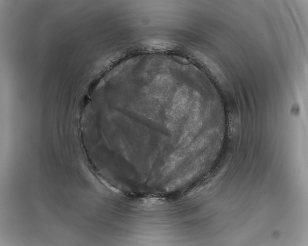 X0000097610451200803141943