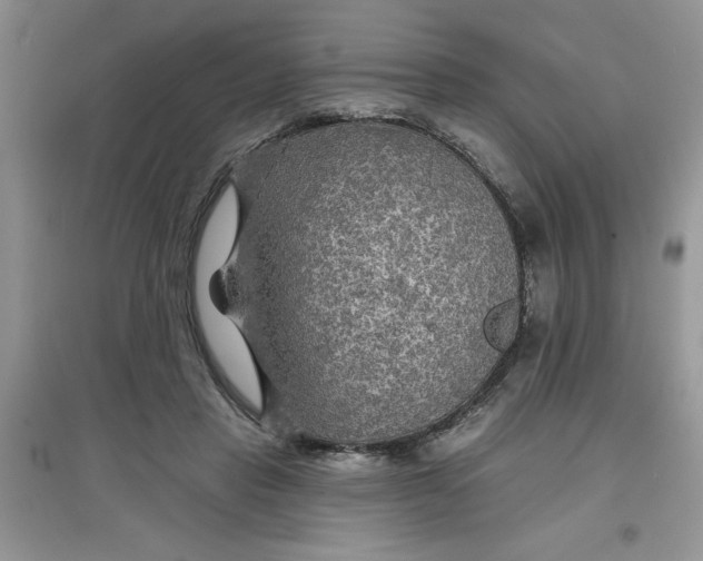 X0000097610453200803141943