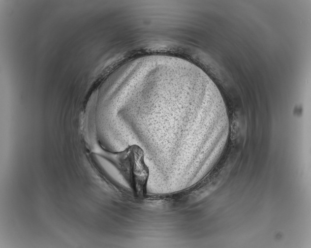 X0000097610454200803141943