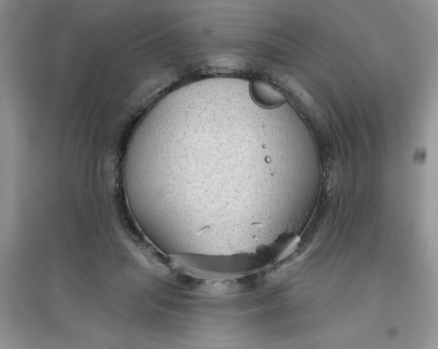 X0000097610455200803141943