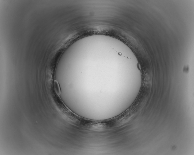 X0000097610456200803141943