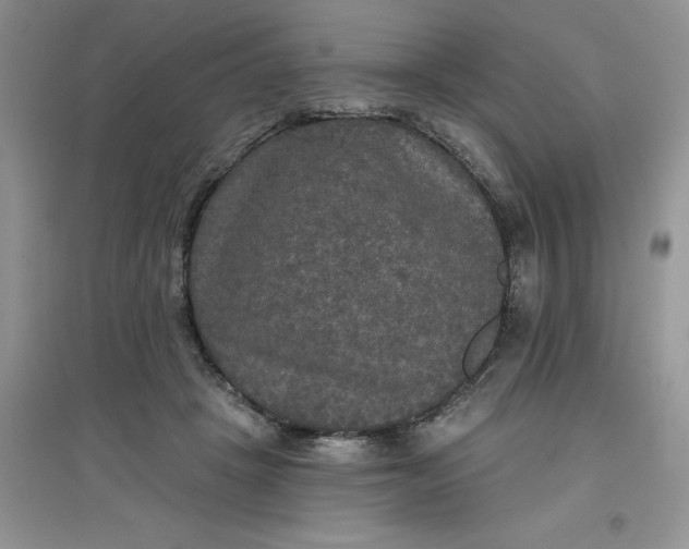 X0000097610457200803141943