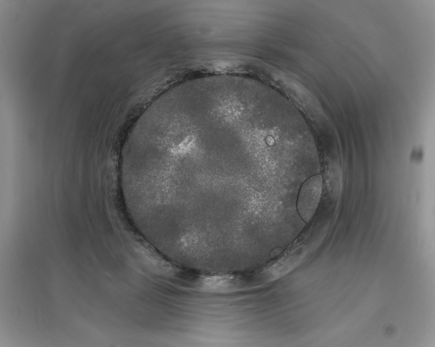 X0000097610461200803141943