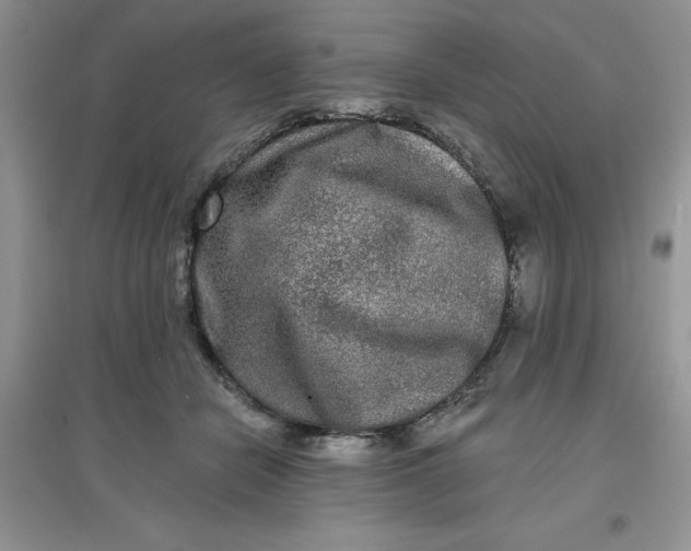 X0000097610462200803141943