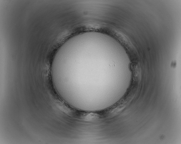 X0000097610463200803141943