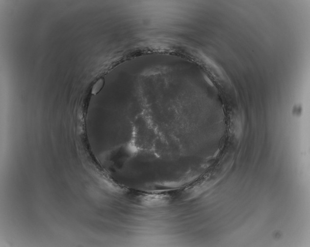 X0000097610465200803141943