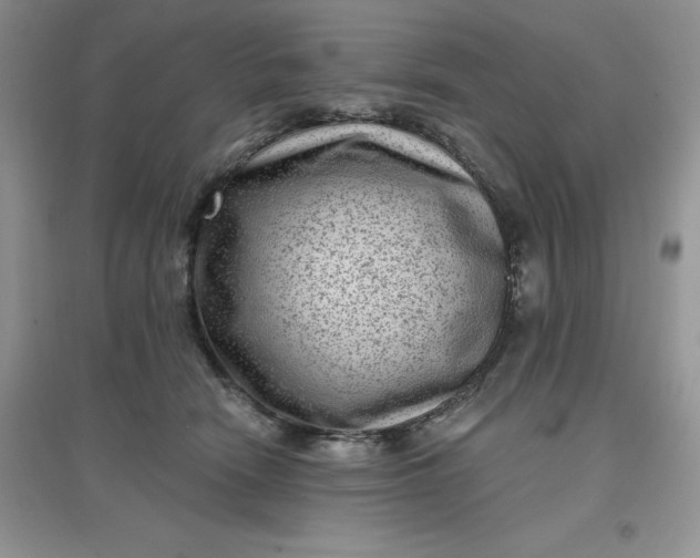 X0000097610466200803141943