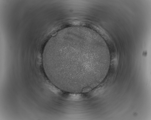 X0000097610469200803141943