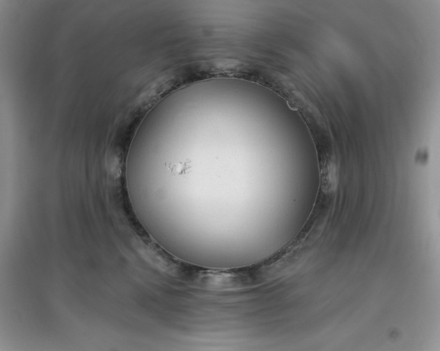 X0000097610472200803141943