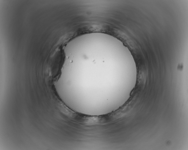 X0000097610473200803141943