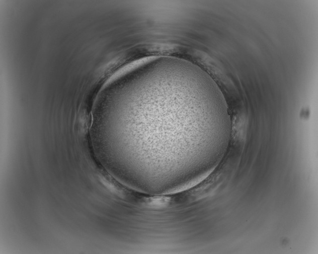 X0000097610474200803141943