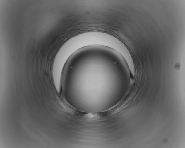 X0000097610477200803141943