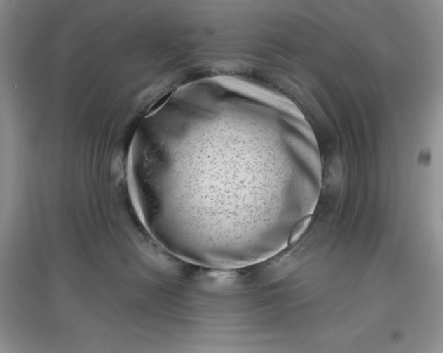 X0000097610478200803141943