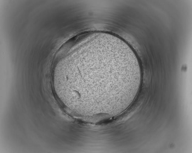 X0000097610481200803141942