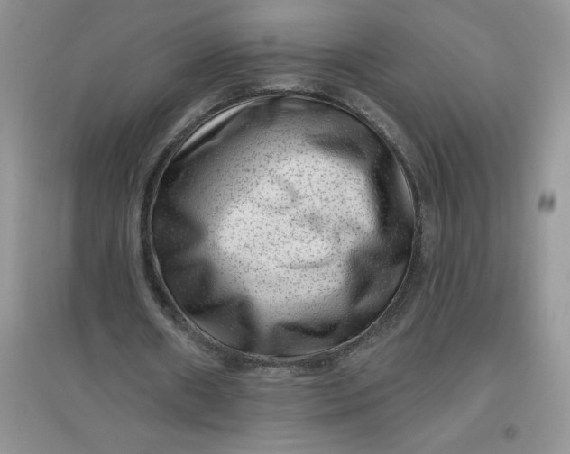 X0000097610482200803141942