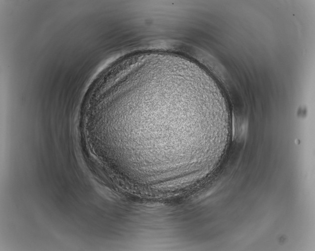 X0000097610483200803141942