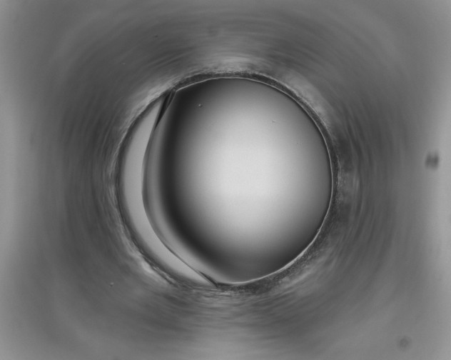 X0000097610485200803141942