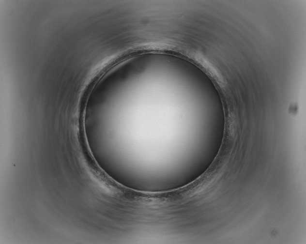 X0000097610486200803141942