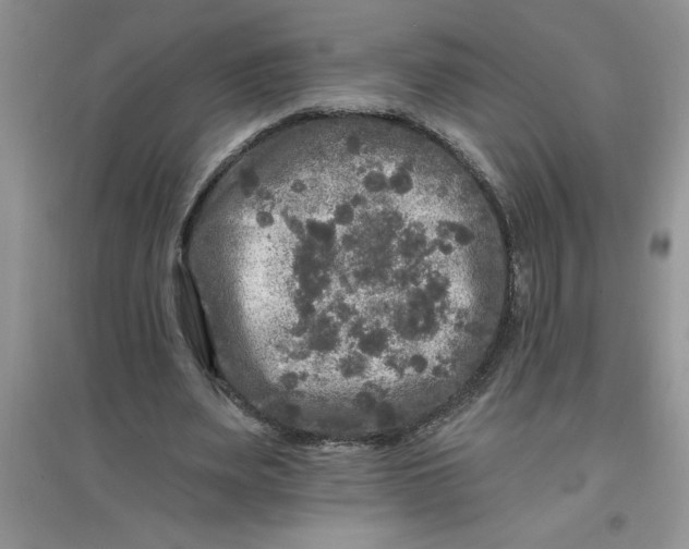 X0000097610487200803141942