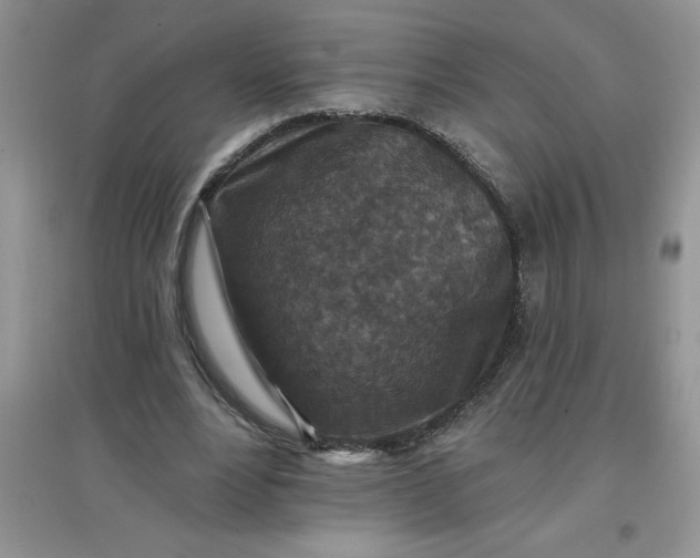 X0000097610488200803141942